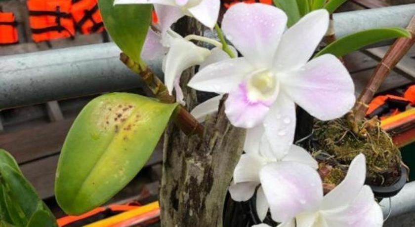 Orchid Lake House Ban Wang Khon Exteriör bild